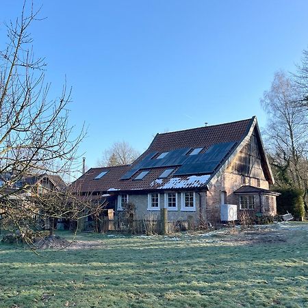 Ferienwohnung Gruen In Gruen Detmold Exterior foto
