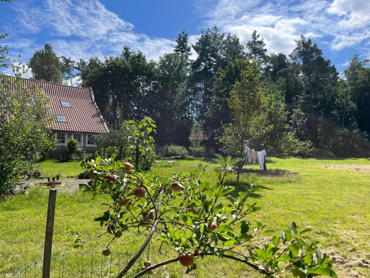 Ferienwohnung Gruen In Gruen Detmold Exterior foto